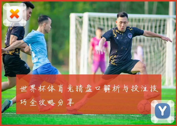 世界杯体育竞猜盘口解析与投注技巧全攻略分享