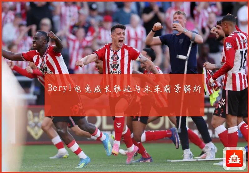 Beryl电竞成长轨迹与未来前景解析
