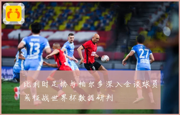 比利时足协与帕尔多深入会谈球员或征战世界杯数据研判