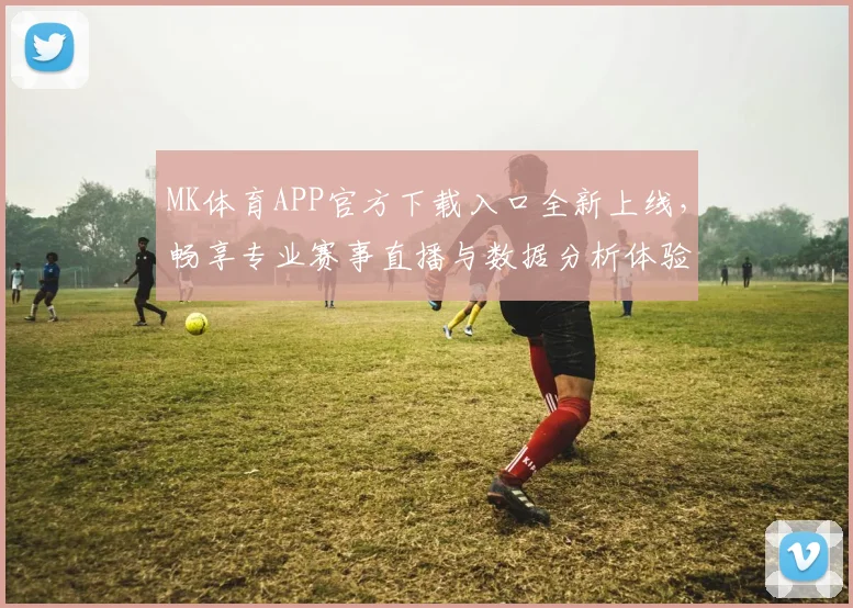 MK体育APP官方下载入口全新上线，畅享专业赛事直播与数据分析体验